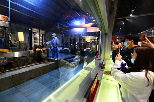 道不盡齊魯糧油好 走進(jìn)山歌，聽百年油坊唱響的時代新韻